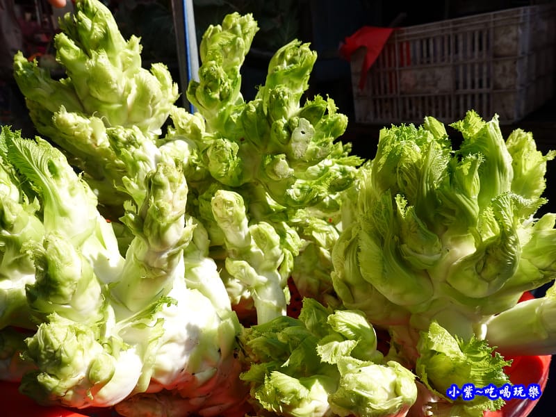 娃娃菜-草坪頭櫻花季 (2).jpg 娃娃菜-草坪頭櫻花季 (2).jpg
