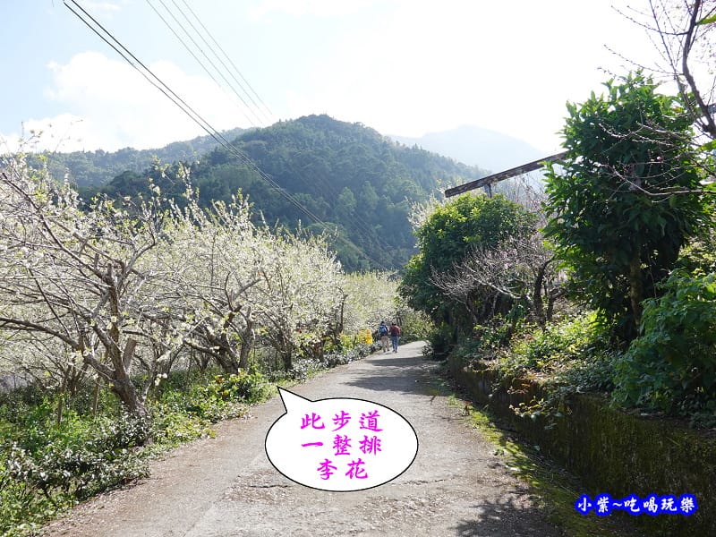 明生花步道、觀景步道景觀 (10).jpg 明生花步道、觀景步道景觀 (10).jpg