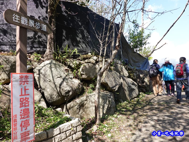 草坪頭橋旁觀景步道-草坪頭櫻花季 (3).jpg 草坪頭橋旁觀景步道-草坪頭櫻花季 (3).jpg