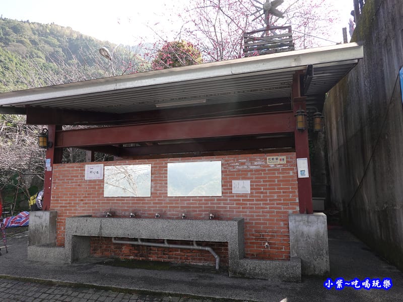 櫻花大道(中心)公廁-草坪頭櫻花季.jpg 櫻花大道(中心)公廁-草坪頭櫻花季.jpg