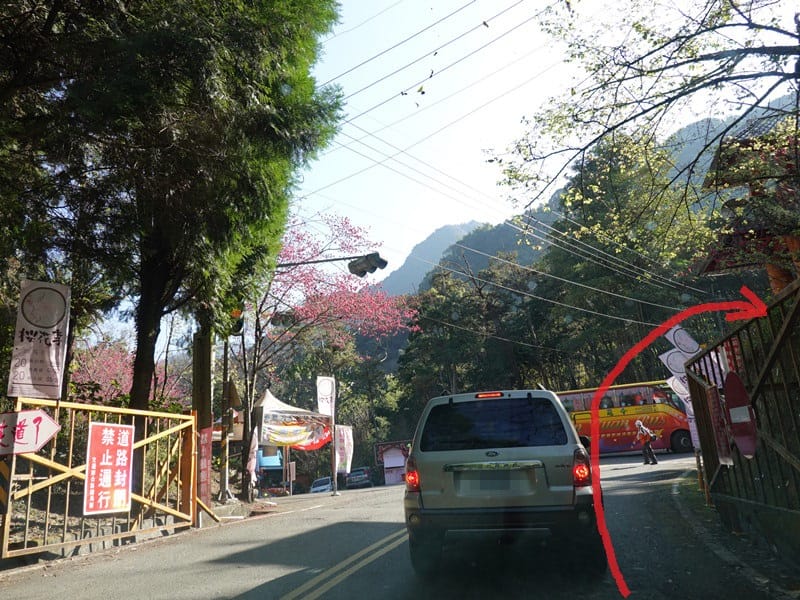 約台21線110 (1).JPG 約台21線110 (1).JPG