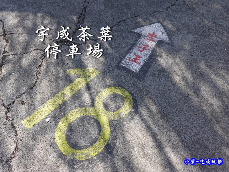 P18宇成茶葉-草坪頭櫻花季.jpg P18宇成茶葉-草坪頭櫻花季.jpg
