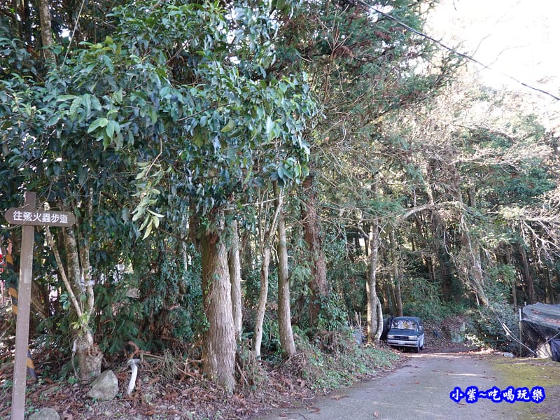 靠近P3櫻花大道旁-賞螢步道.jpg 靠近P3櫻花大道旁-賞螢步道.jpg