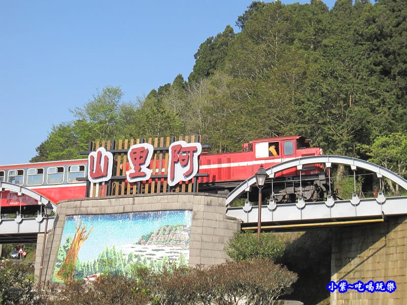 阿里山森林遊樂區-櫻花季21.jpg