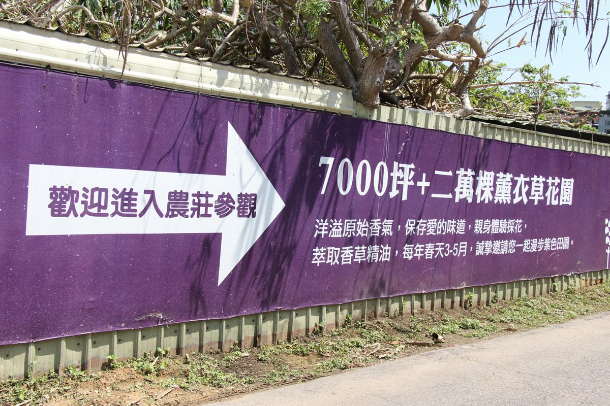 2020葛瑞絲香草田 (2).JPG