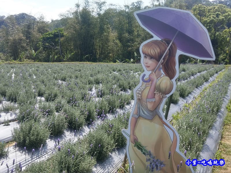 2020葛瑞絲香草田2.jpg