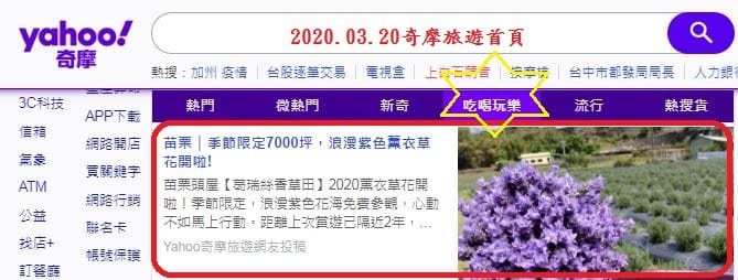 2020.3.20苗栗-葛瑞絲香草田.JPG