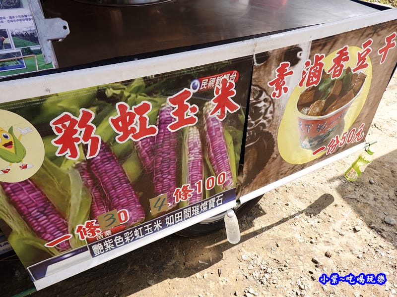 彩虹玉米-雅聞七里香玫瑰森林-馬路對面 (1).jpg 彩虹玉米-雅聞七里香玫瑰森林-馬路對面 (1).jpg