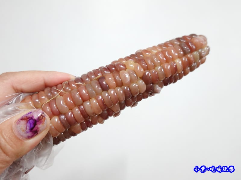 彩虹玉米-雅聞七里香玫瑰森林-馬路對面 (3).jpg 彩虹玉米-雅聞七里香玫瑰森林-馬路對面 (3).jpg