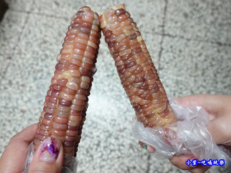 彩虹玉米-雅聞七里香玫瑰森林-馬路對面 (2).jpg 彩虹玉米-雅聞七里香玫瑰森林-馬路對面 (2).jpg