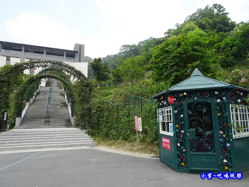 苗栗-雅聞七里香玫瑰森林 (3).jpg 苗栗-雅聞七里香玫瑰森林 (3).jpg