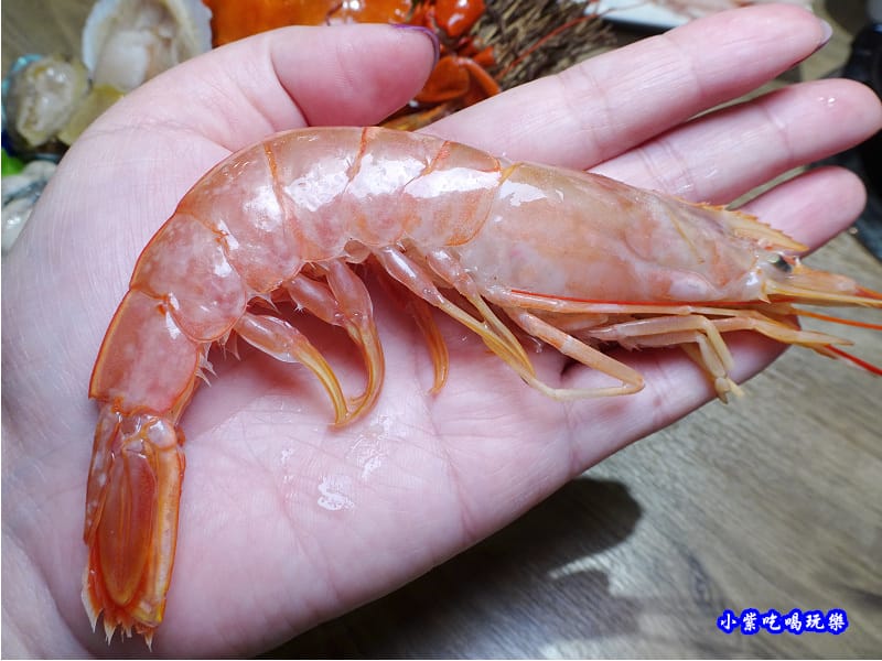 天使紅蝦-2020澤鍋物 (2).jpg 天使紅蝦-2020澤鍋物 (2).jpg