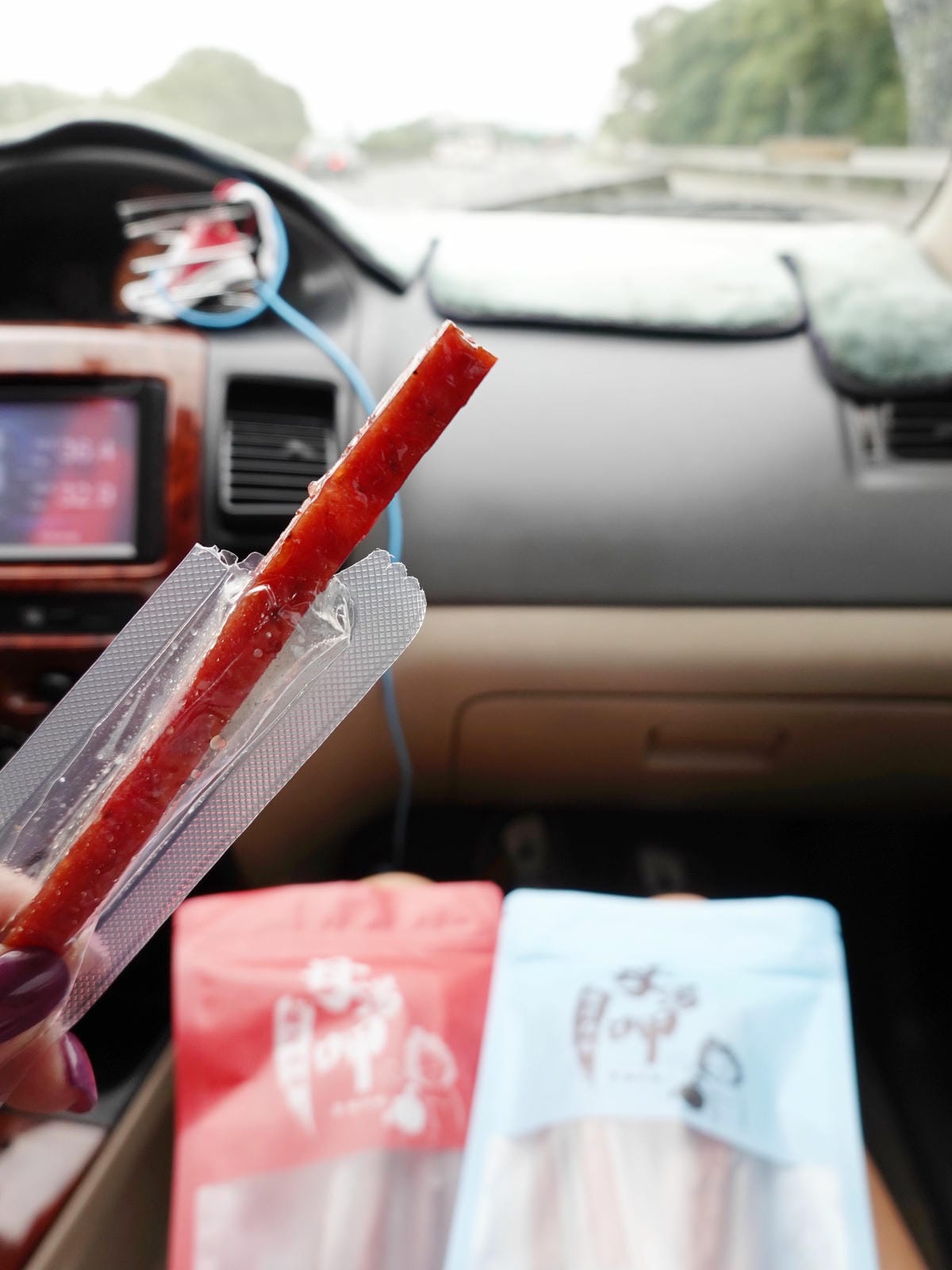 國道塞車吃的零嘴-母湯呷肉條 (2).jpg