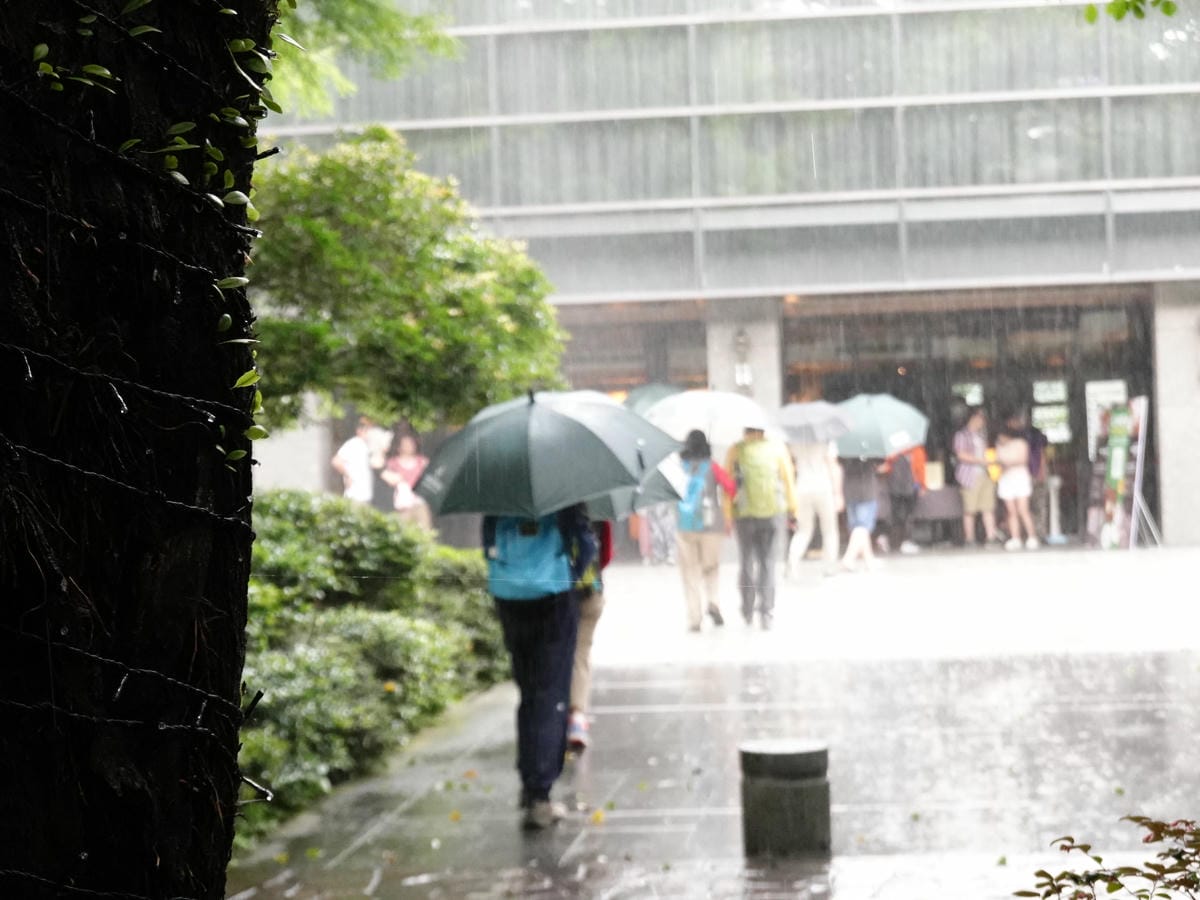 下雨可借雨傘-大板根森林溫泉酒店.JPG 下雨可借雨傘-大板根森林溫泉酒店.JPG