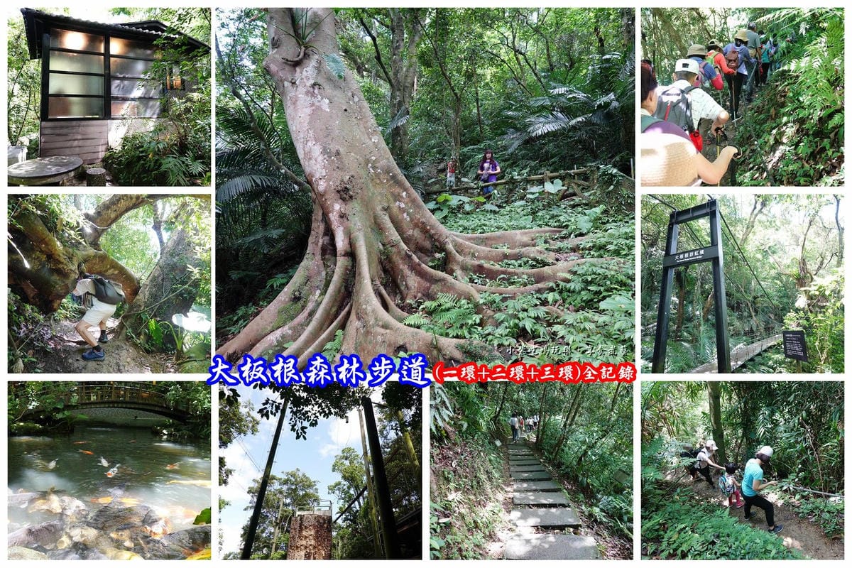 大板根森林步道全記錄.jpg 大板根森林步道全記錄.jpg