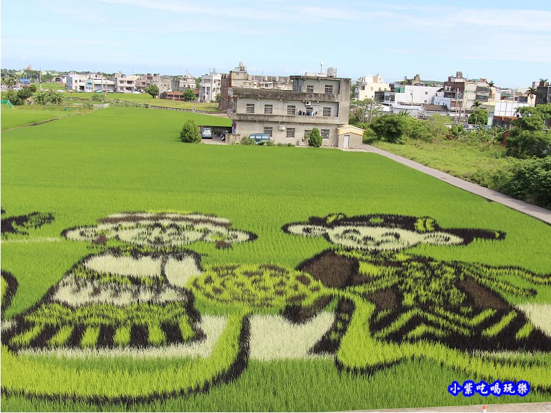 2020老鼠娶親-苑裡彩繪稻田 (5).jpg 2020老鼠娶親-苑裡彩繪稻田 (5).jpg