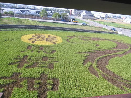 苗栗免費景點【苑裡彩繪稻田】2020老鼠娶親稻田彩繪免費入園。3樓高觀景臺(懼高症會怕怕) - 第4張圖 苗栗免費景點【苑裡彩繪稻田】2020老鼠娶親稻田彩繪免費入園。3樓高觀景臺(懼高症會怕怕)