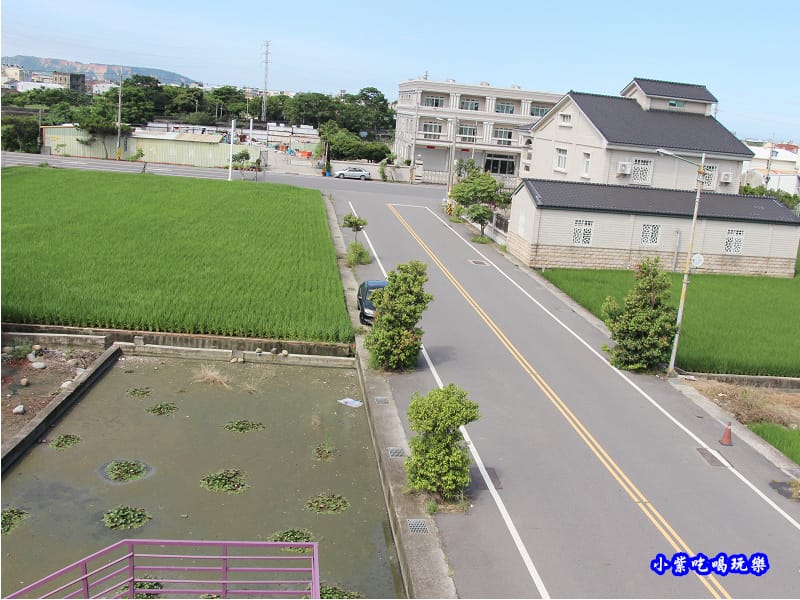 苑裡-愛情果園 (3).jpg 苑裡-愛情果園 (3).jpg