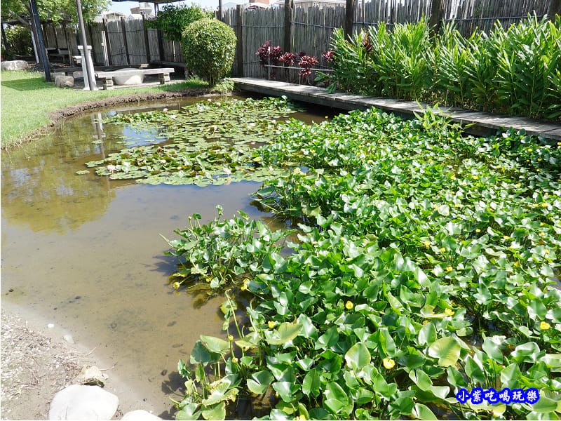 苑裡-愛情果園 (11).jpg