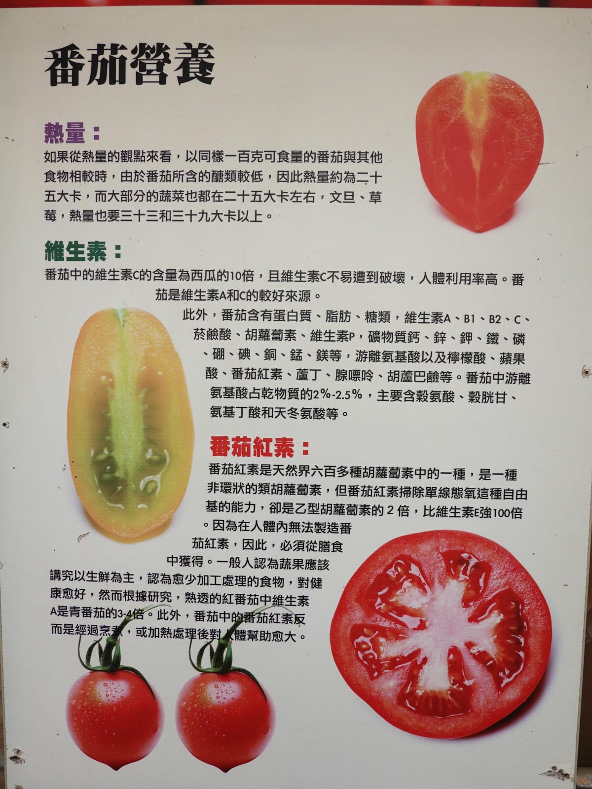 番茄的營養-愛情果園.JPG