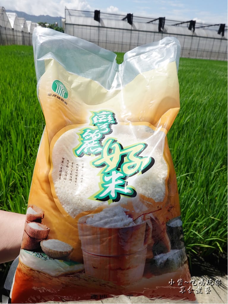 彎麗好吃-愛情果園 (2).jpg