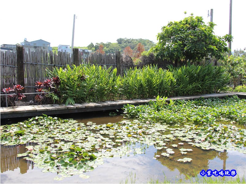 苑裡-愛情果園 (9).jpg