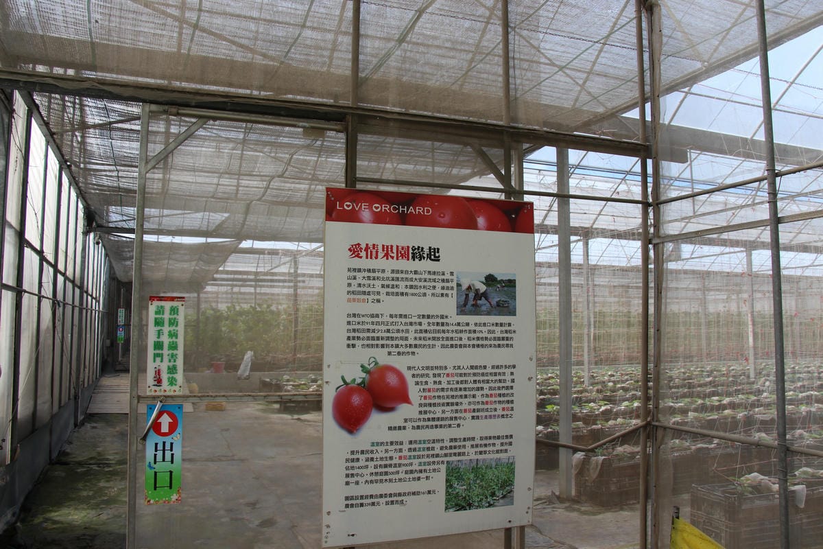 苑裡-愛情果園 (6).JPG