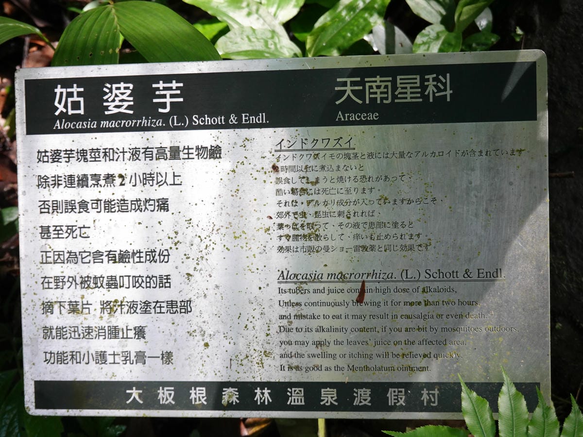DSC00920.JPG