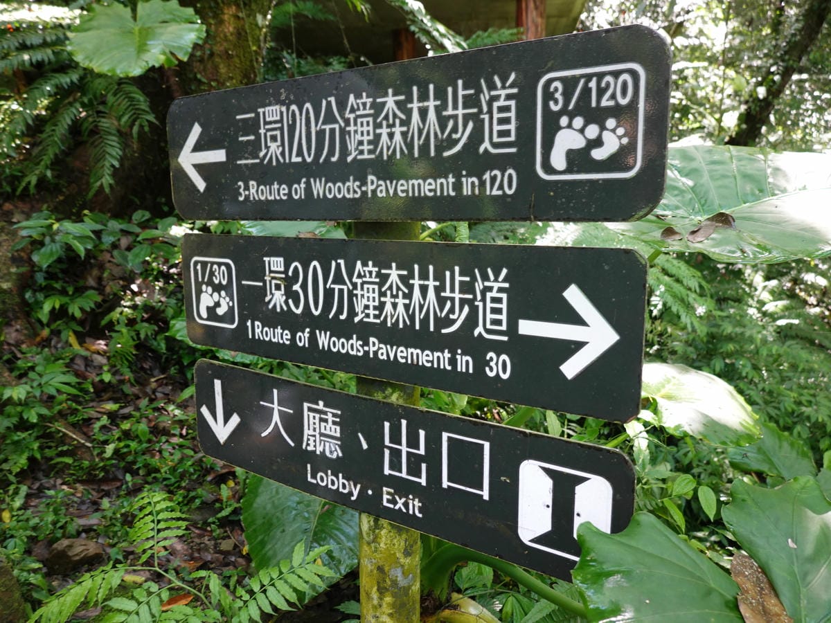 DSC00939.JPG