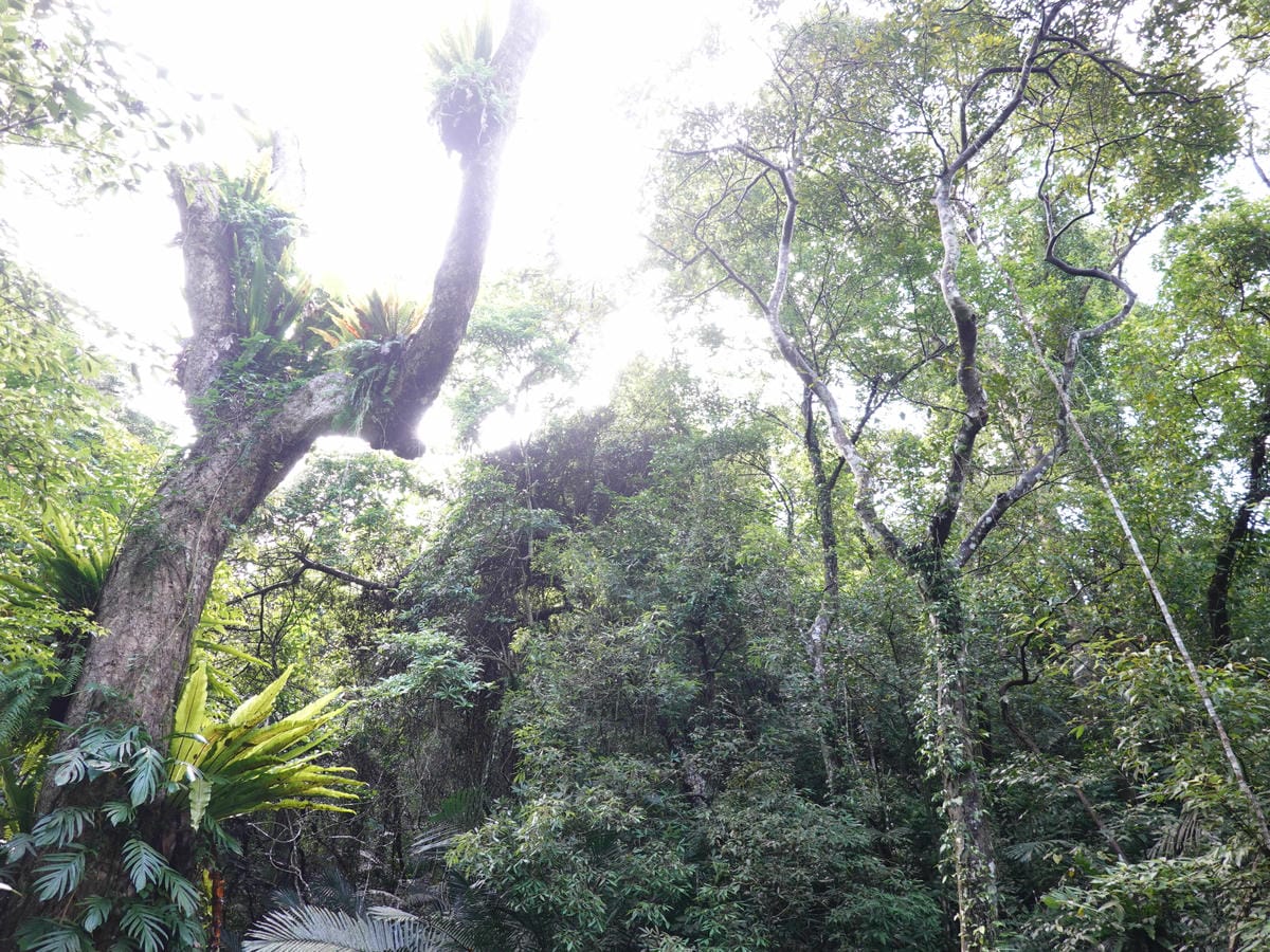 DSC00908.JPG