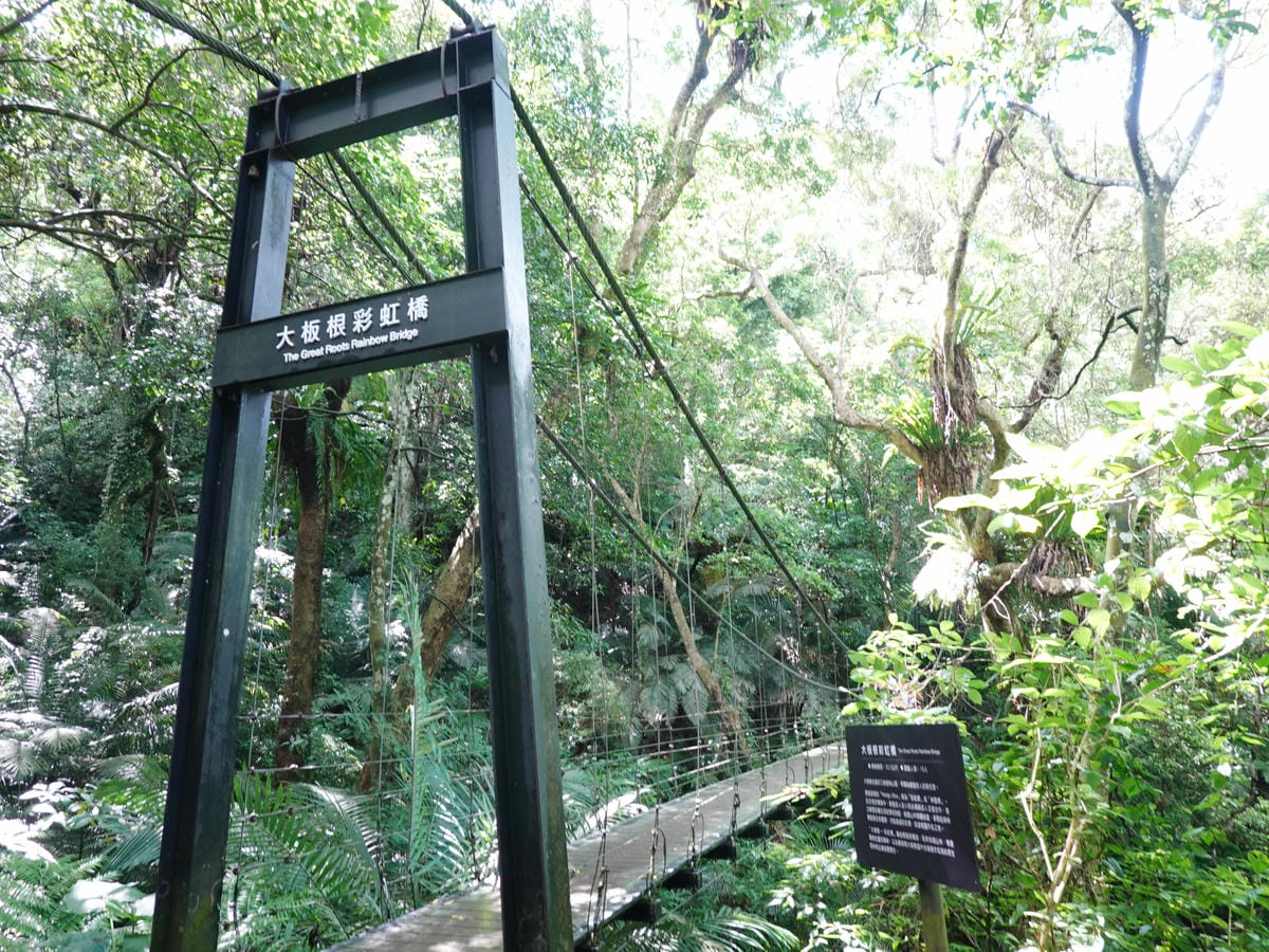 大板根彩虹橋 (2).jpg