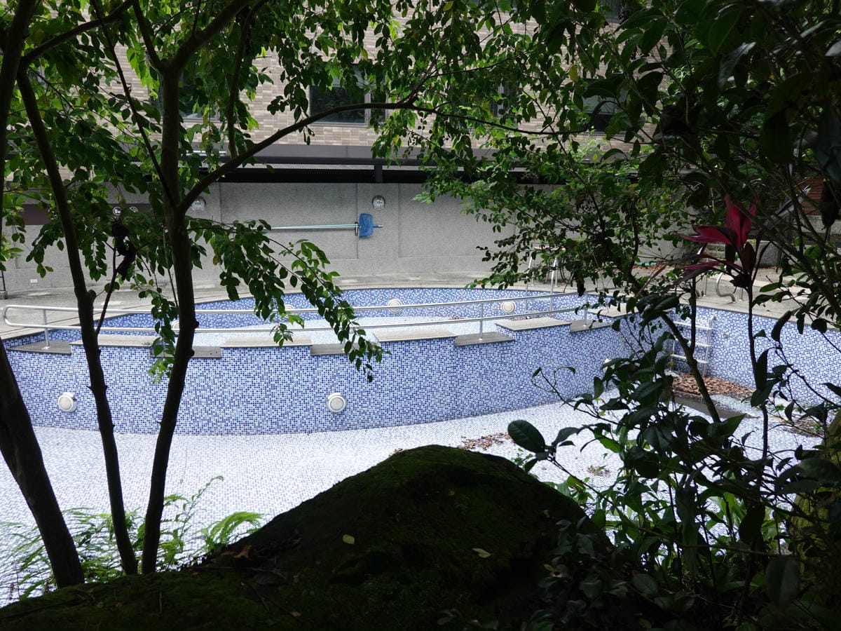 游泳池-大板根森林溫泉酒店.JPG