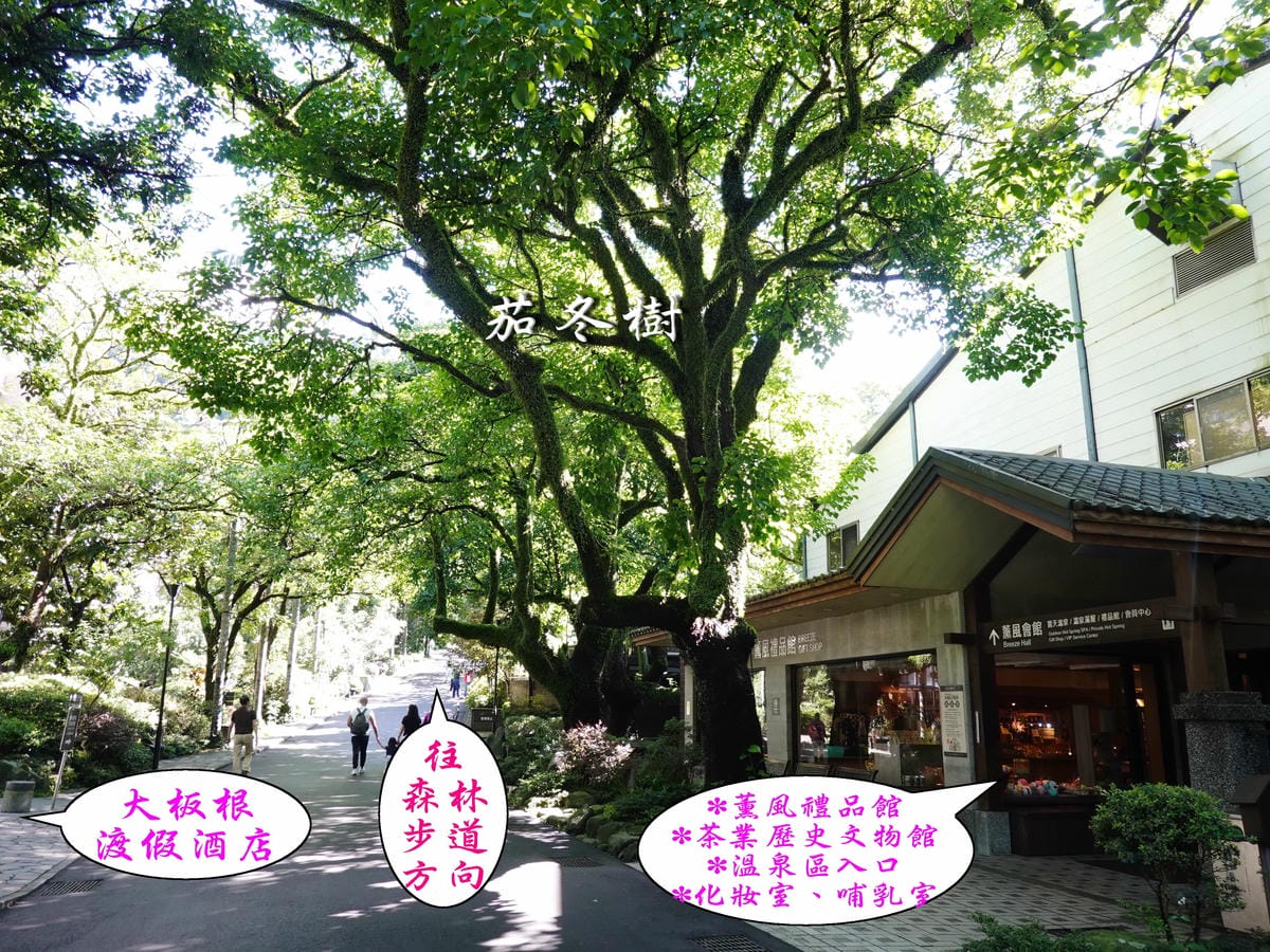 DSC00817.jpg