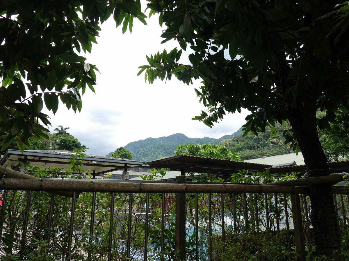 DSC01092.JPG