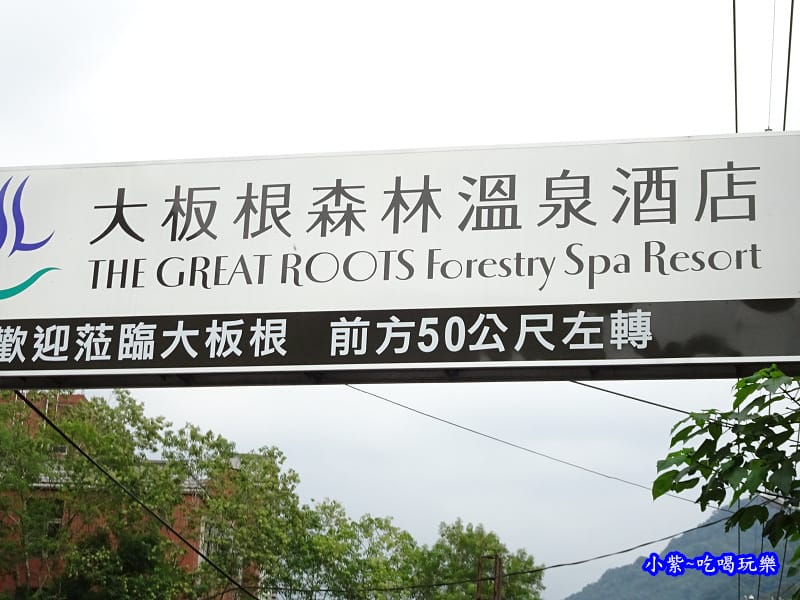 大板根森林溫泉酒店 (1).jpg