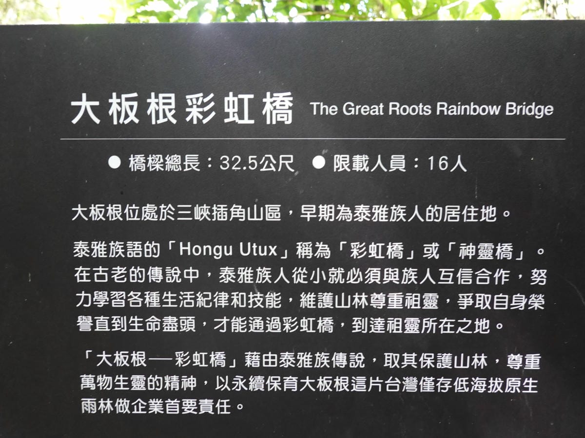 大板根彩虹橋 (4).JPG