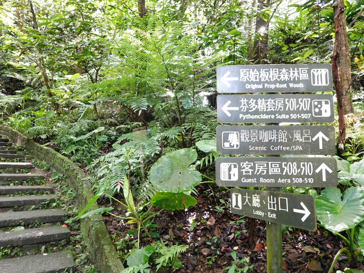 DSC00900.JPG