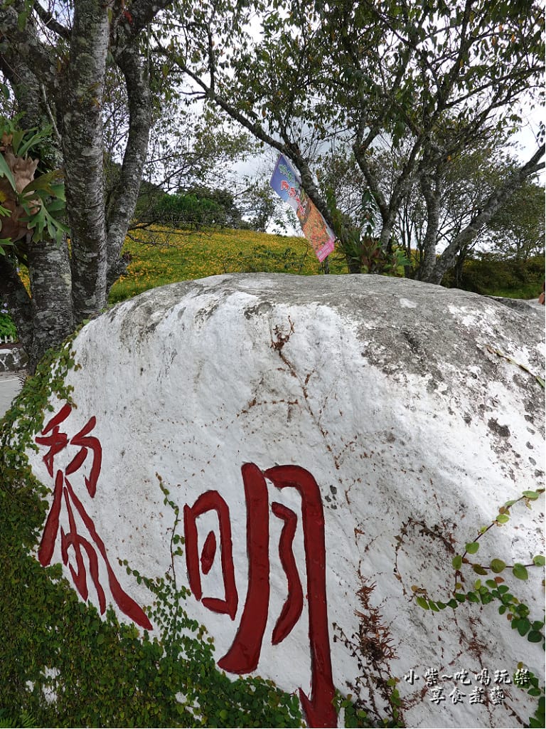 赤科山-黎明農園 (18).jpg