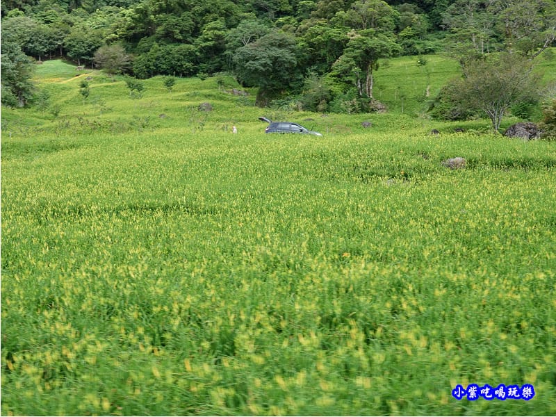 赤科山-黎明農園 (14).jpg