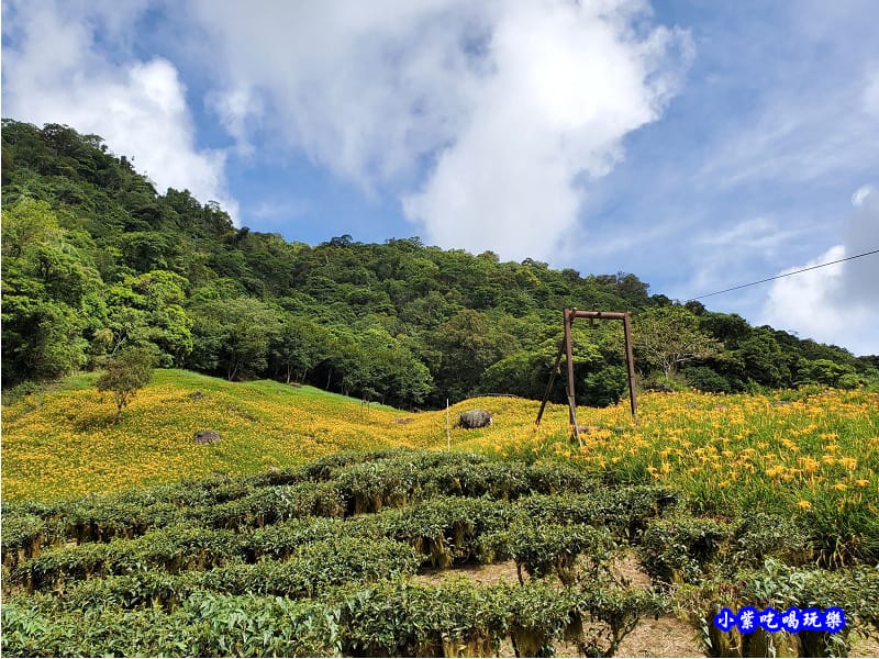 赤科山-黎明農園 (5).jpg