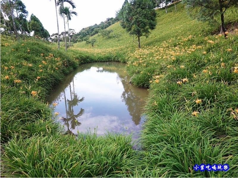赤科山小台灣-首圖.jpg