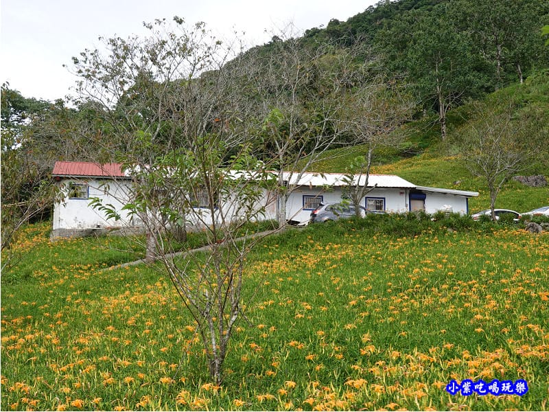 赤科山-黎明農園 (12).jpg