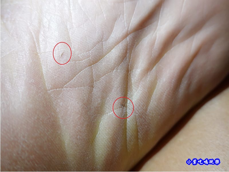 踏米鞋 (1).jpg