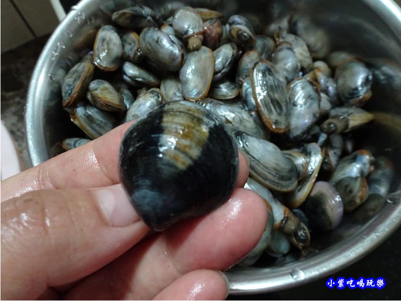 海山濕地-蛤蜊赤嘴 (1).jpg