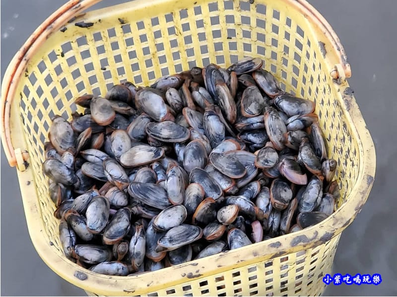 新竹海山漁港挖公代 (2).jpg