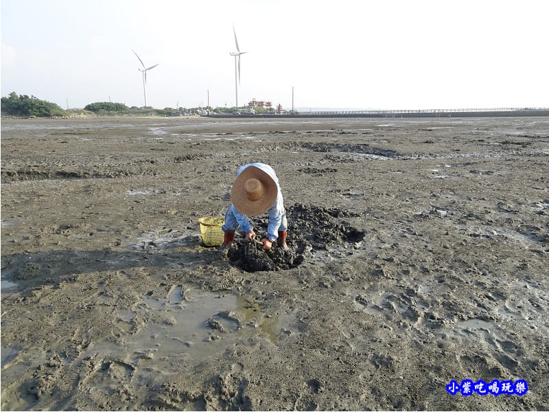 新竹海山漁港挖公代 (2).jpg