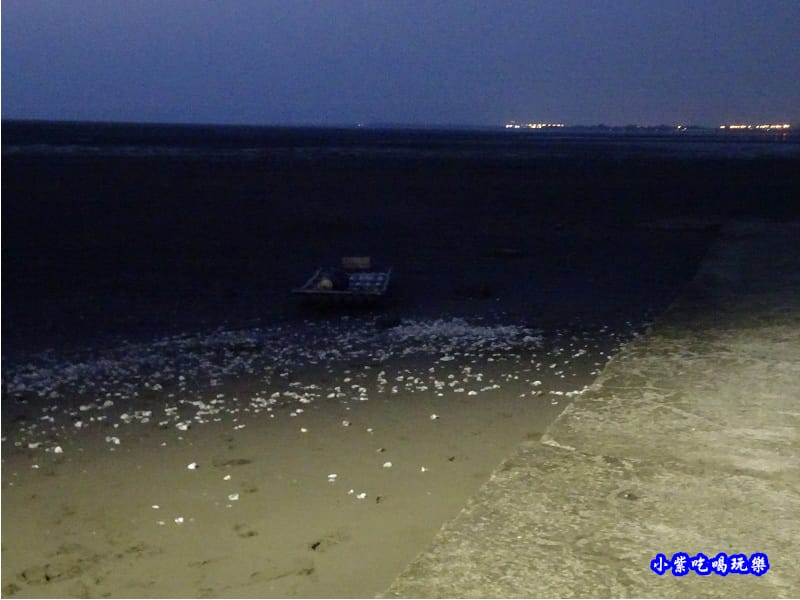 夜晚海山漁港旁濕地入口處.jpg