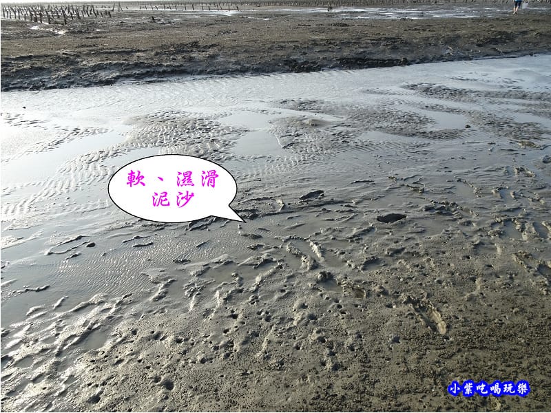 新竹香山-海山漁港濕地 (9).jpg