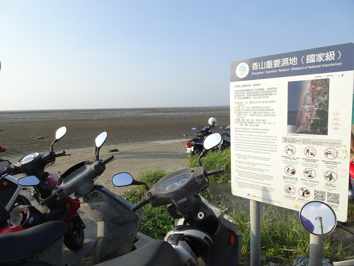 海山漁港旁濕地.JPG