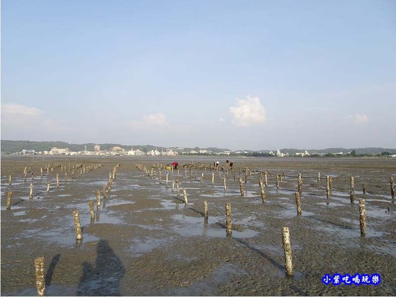 新竹香山-海山漁港濕地 (11).jpg
